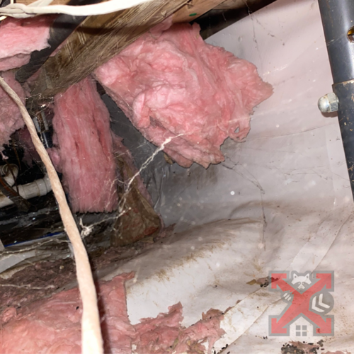 Damaged Insulation in Attic